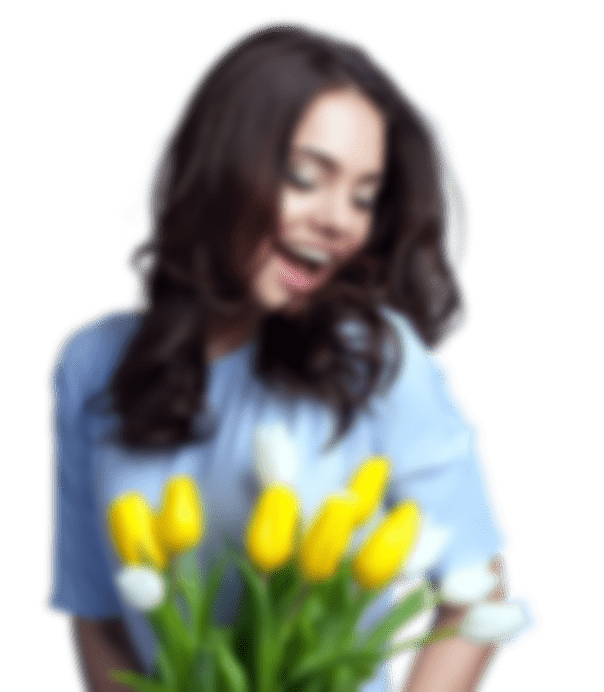 Home Flowers Funko Pop Chile 1 Home Flowers Funko Pop Chile