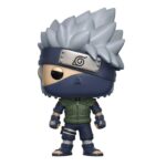 KAKASHI (CAJA CON DETALLES)