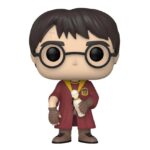 HARRY POTTER - POR ENCARGO