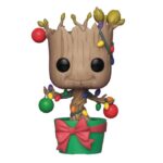 GROOT NAVIDAD