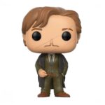 REMUS LUPIN