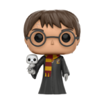 HARRY POTTER - POR ENCARGO