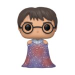 HARRY POTTER - POR ENCARGO