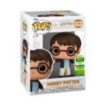 HARRY POTTER - Imagen 2