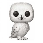 HEDWIG (CAJA CON DETALLES)