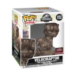 FOSIL DE VELOCIRAPTOR - Imagen 2