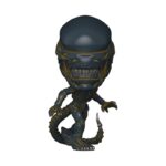XENOMORFO - POR ENCARGO