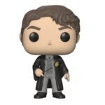 TOM RIDDLE