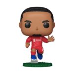 Virgil Van Dijk - POR ENCARGO
